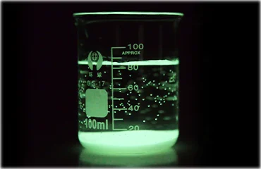 pigment1